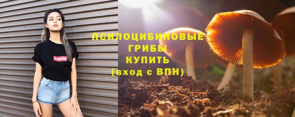 дурь Арсеньев
